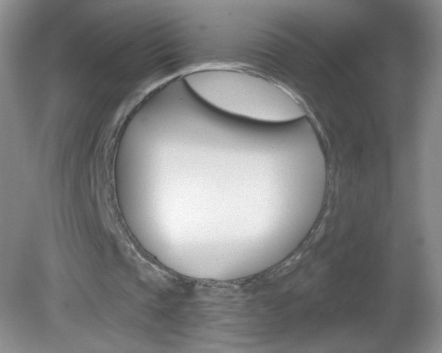 X0000082930337200702011052