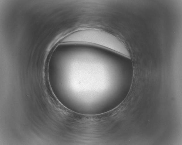 X0000082930340200702011052