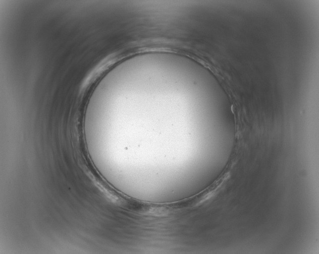 X0000082930341200702011052