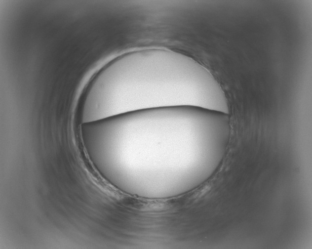 X0000082930342200702011052
