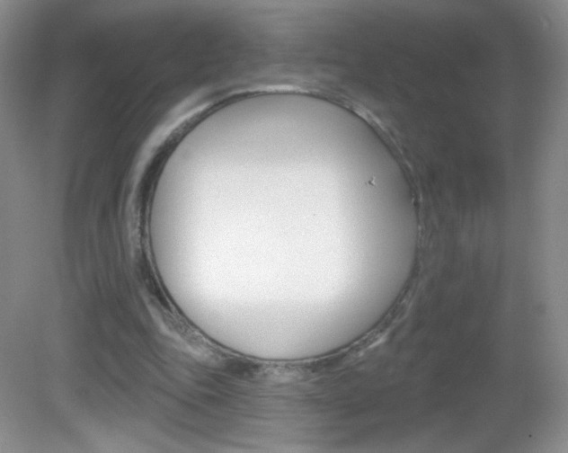 X0000082930343200702011052