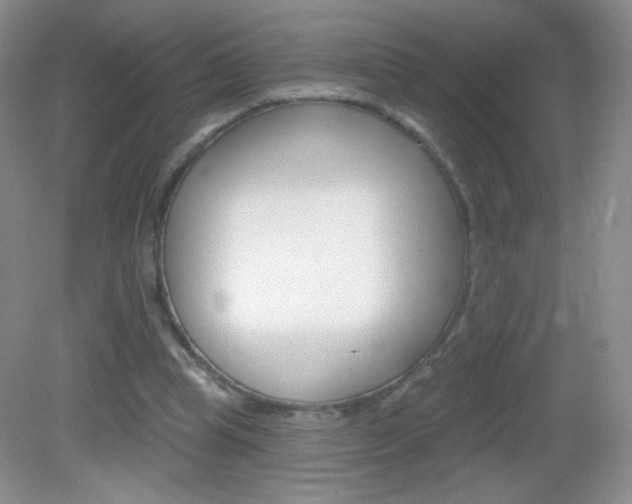 X0000082930345200702011052