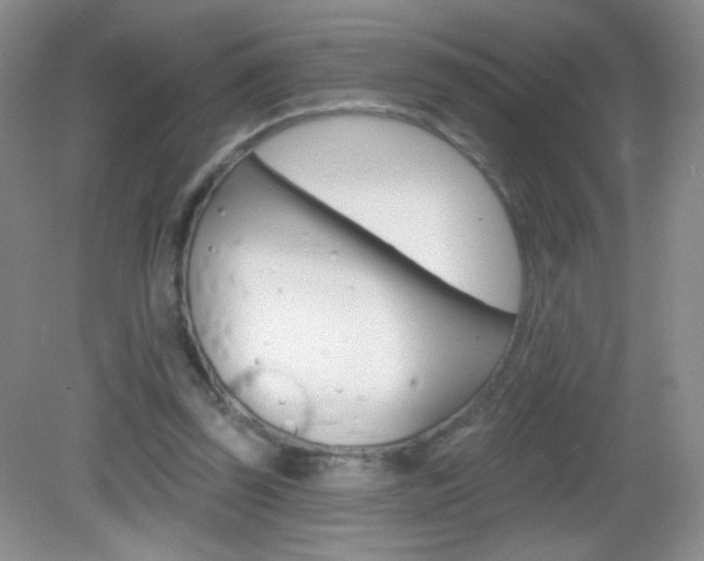 X0000082930347200702011052