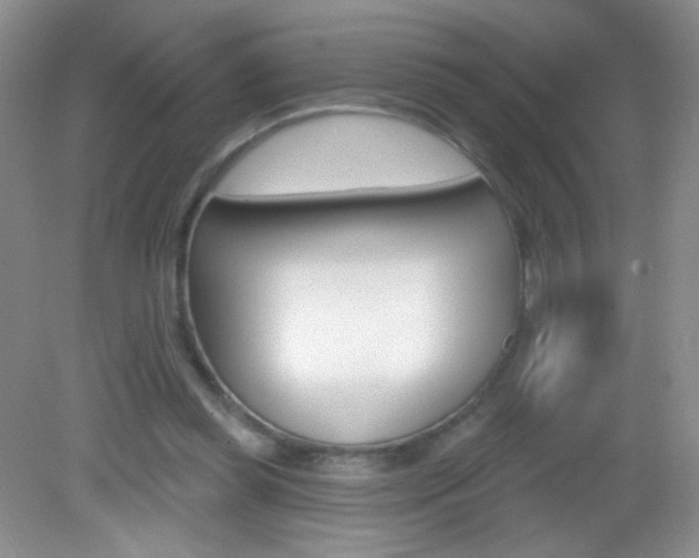 X0000082930349200702011052