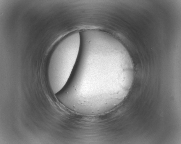 X0000082930351200702011052