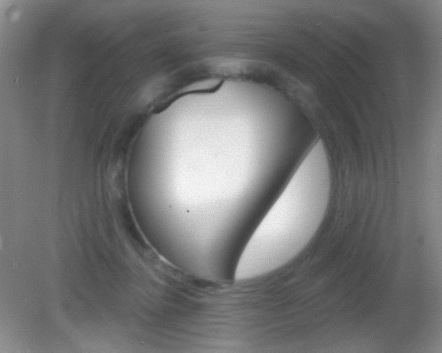 X0000082930364200702011052