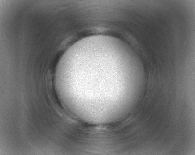 X0000082930366200702011052