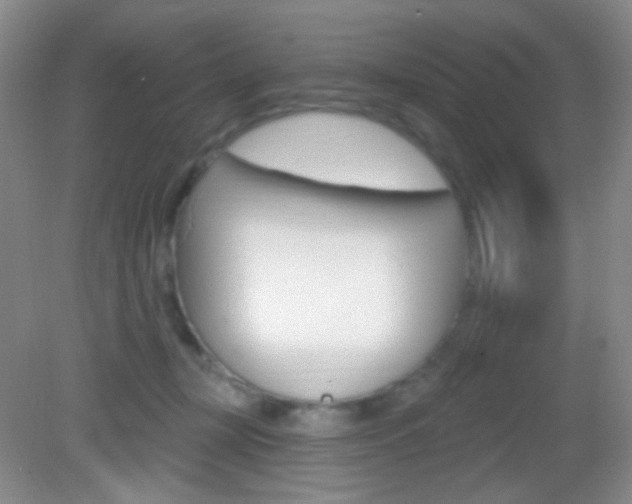 X0000082930367200702011052