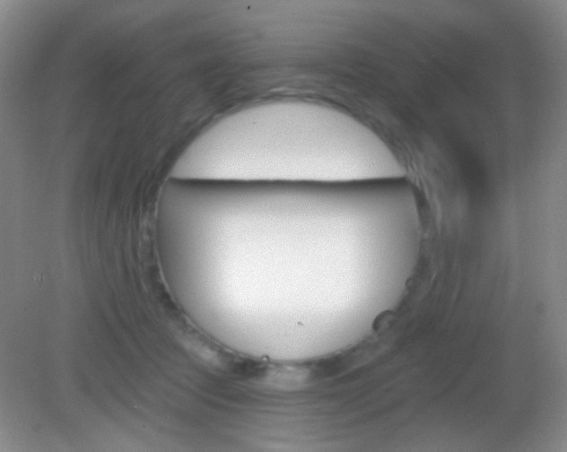 X0000082930369200702011052