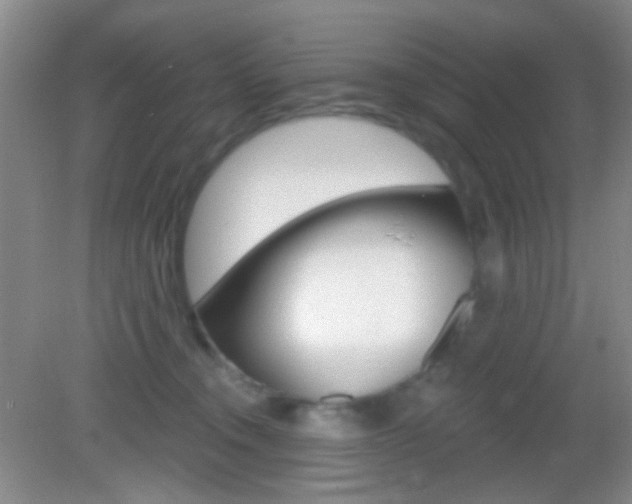 X0000082930372200702011052