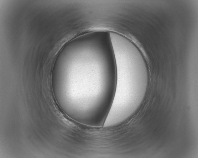 X0000082930385200702011052
