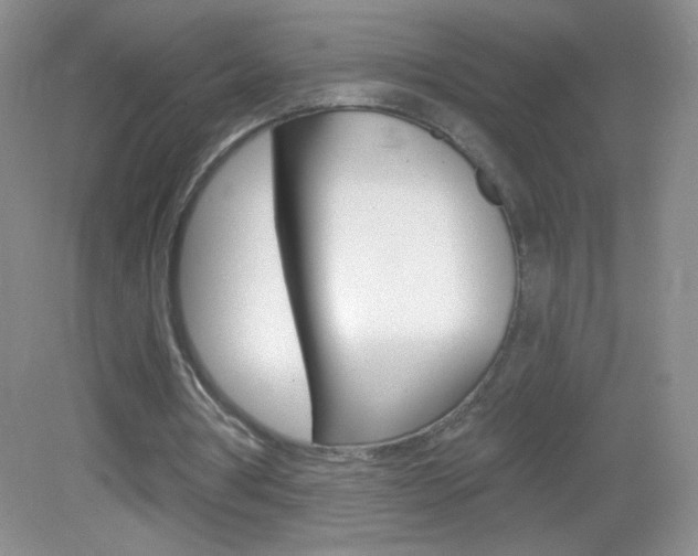X0000082930386200702011052