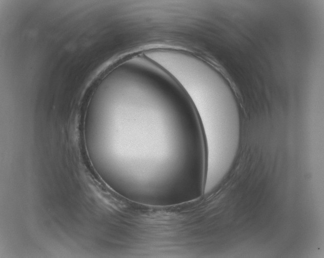 X0000082930387200702011052