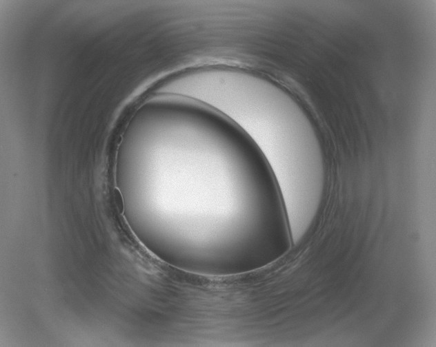X0000082930388200702011051