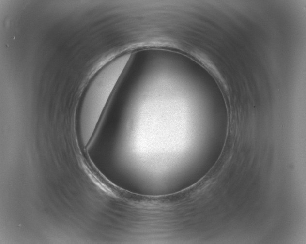 X0000082930389200702011051