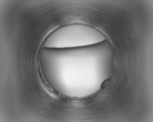 X0000082930390200702011051