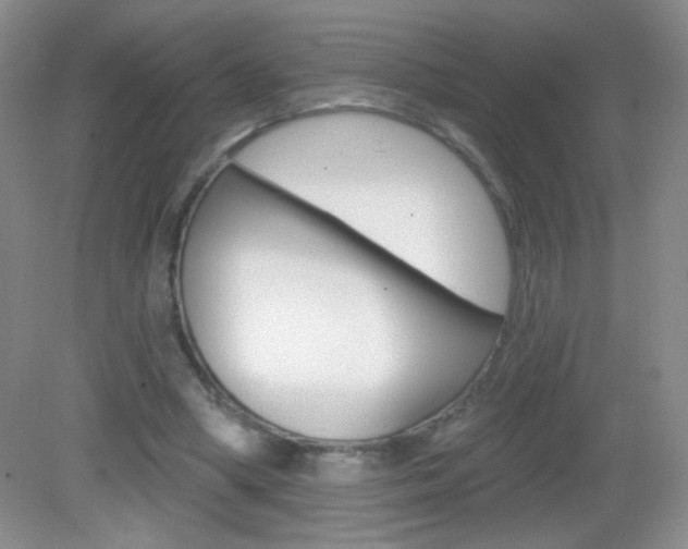 X0000082930394200702011051