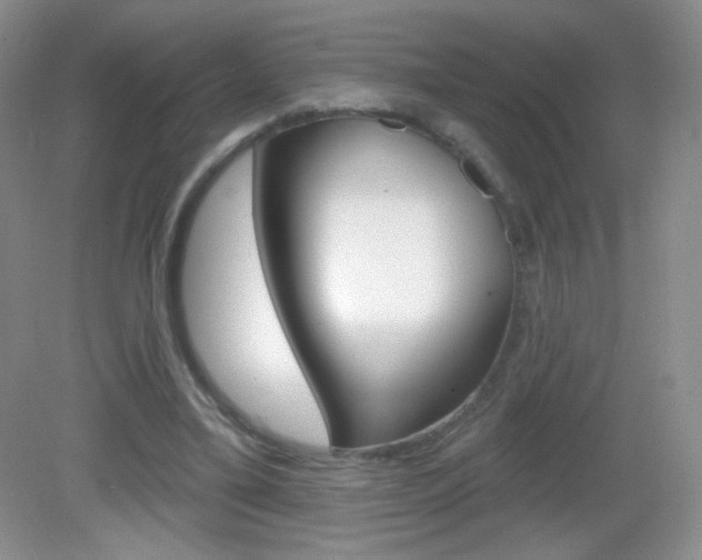 X0000082930395200702011051