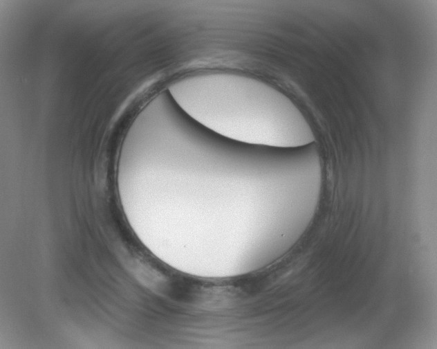 X0000082930396200702011051