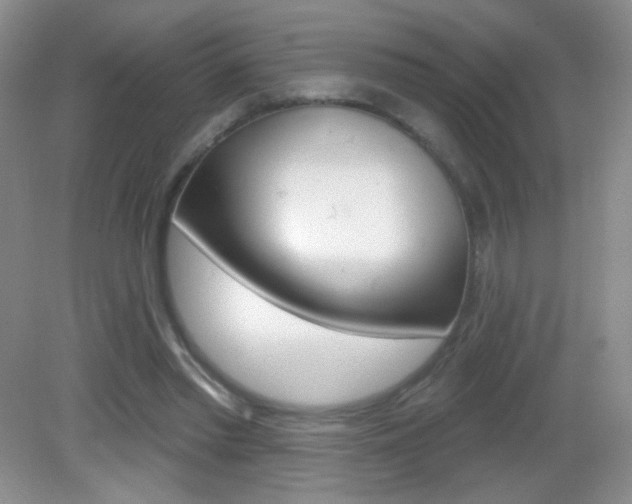 X0000082930397200702011051