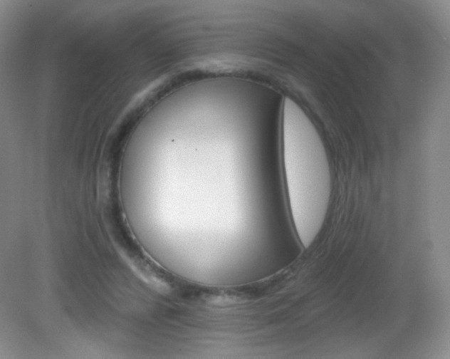 X0000082930400200702011051
