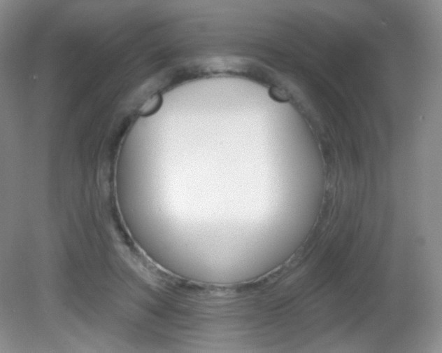 X0000082930402200702011051