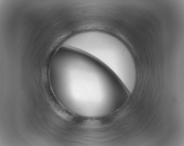 X0000082930403200702011051