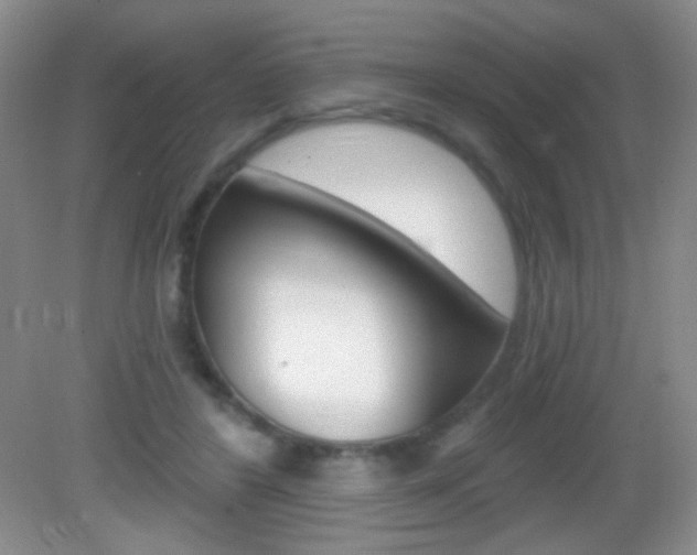 X0000082930404200702011051