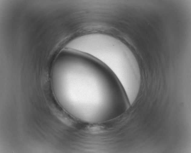 X0000082930407200702011051