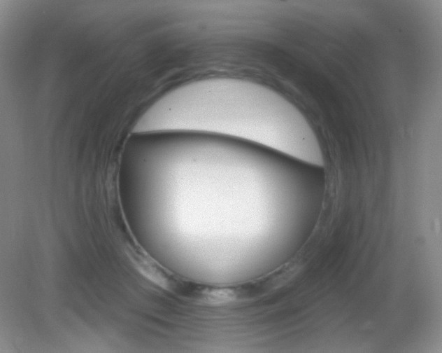 X0000082930409200702011051
