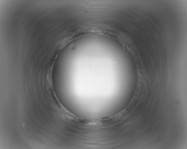 X0000082930415200702011051