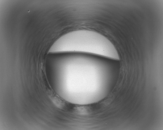X0000082930417200702011051