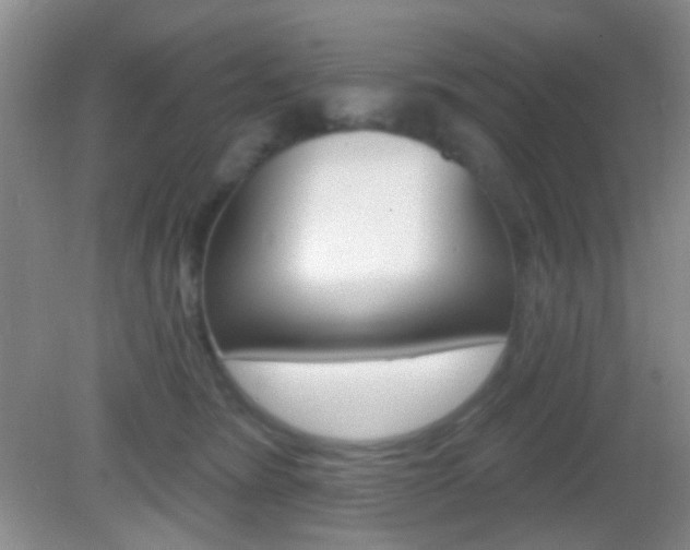 X0000082930420200702011051