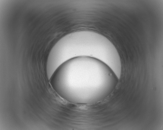 X0000082930423200702011051