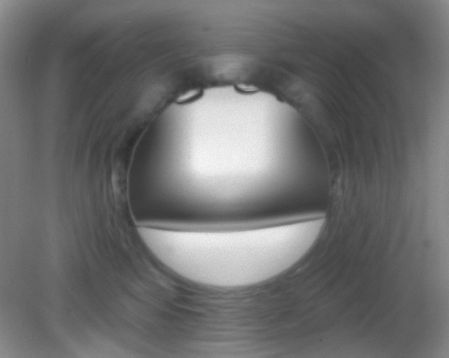 X0000082930424200702011051