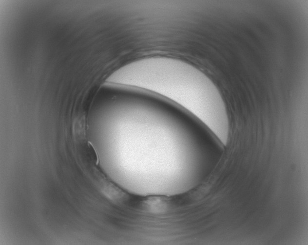 X0000082930425200702011051