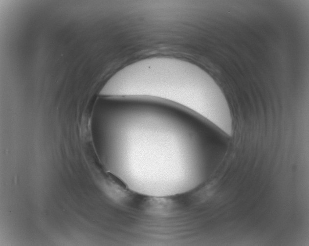 X0000082930429200702011051
