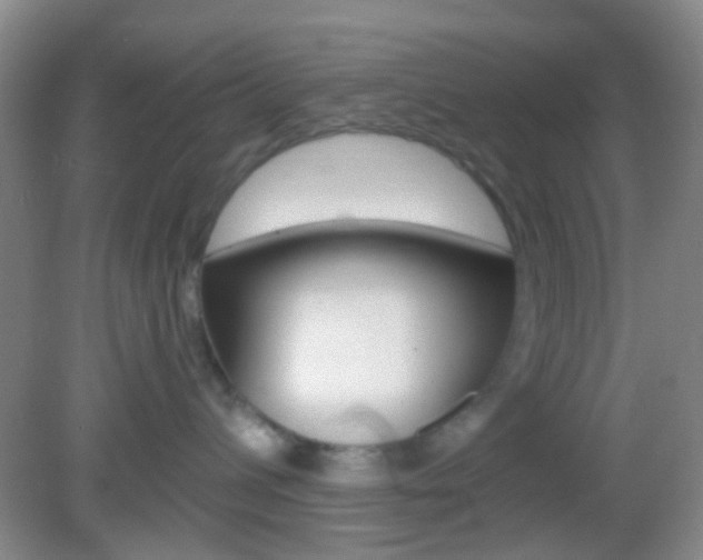 X0000082930432200702011051