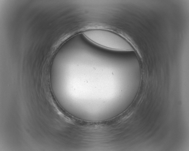X0000082930433200702011050