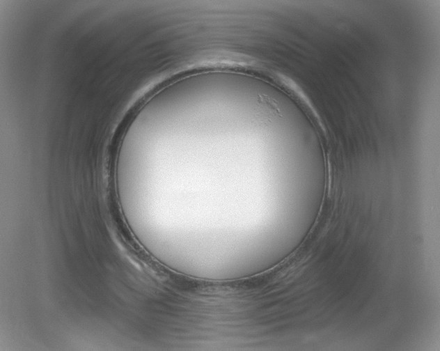 X0000082930435200702011050