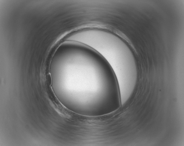 X0000082930436200702011050