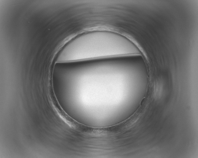 X0000082930437200702011050