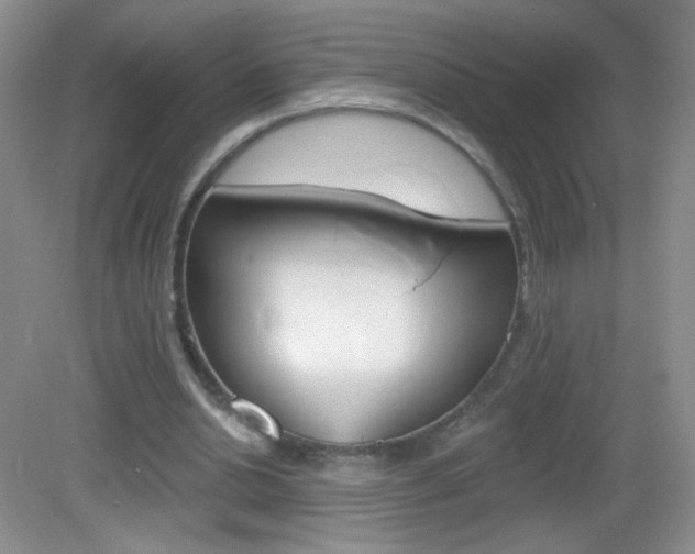 X0000082930438200702011050