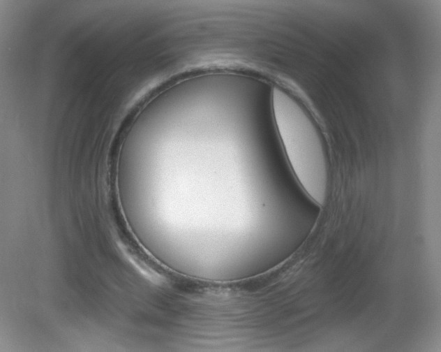 X0000082930439200702011050