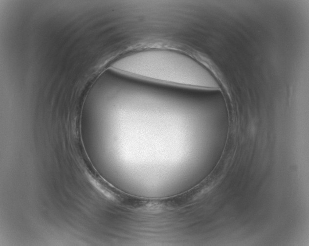 X0000082930441200702011050