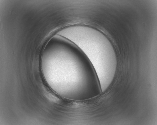 X0000082930442200702011050