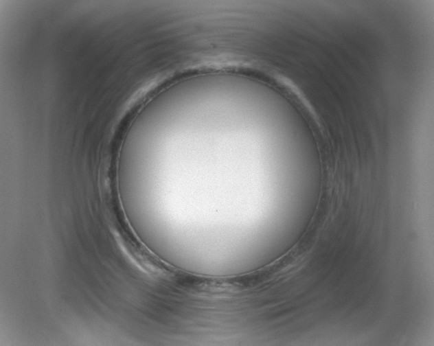 X0000082930443200702011050