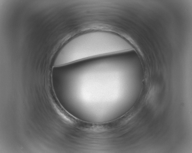 X0000082930445200702011050