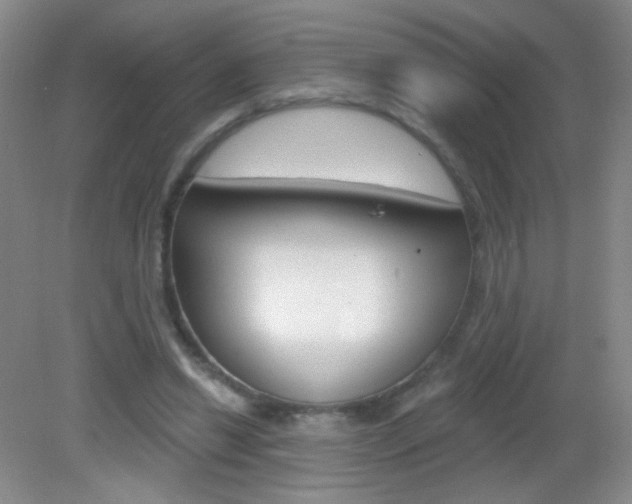 X0000082930446200702011050