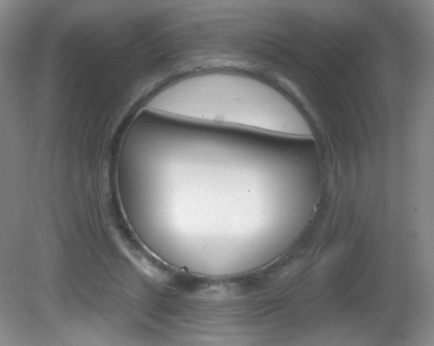 X0000082930447200702011050